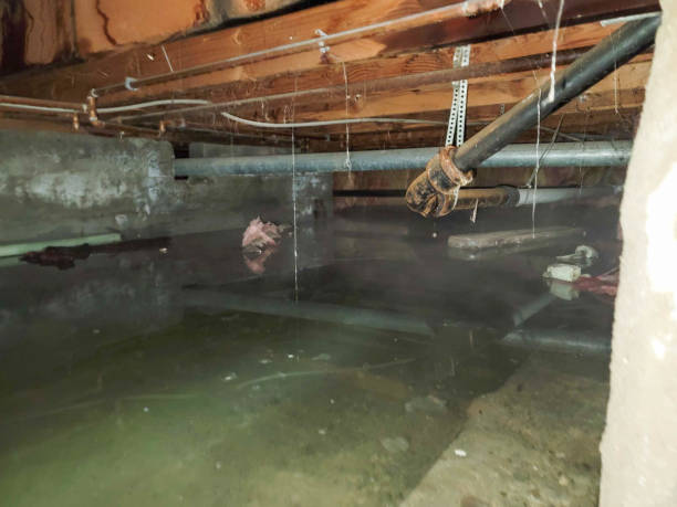 Best Local water damage restoration  in Fairmead, CA