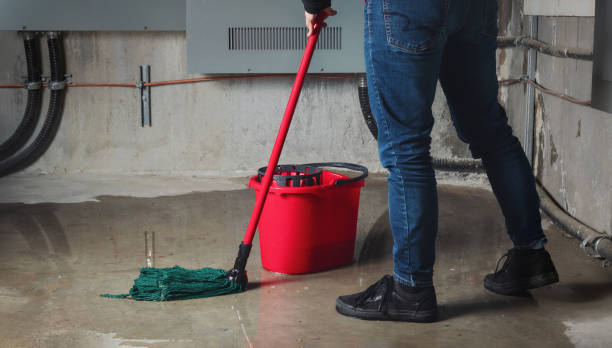 Best Flooded house restoration  in Fairmead, CA