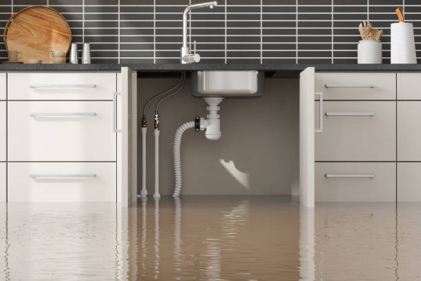 Best Basement water damage restoration  in Fairmead, CA